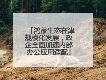 鸿蒙生态在津规模化发展，政企全面加速内部办公应用适配