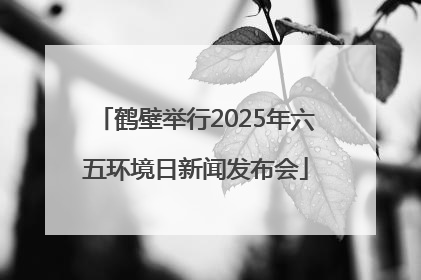 鹤壁举行2025年六五环境日新闻发布会