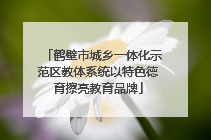 鹤壁市城乡一体化示范区教体系统以特色德育擦亮教育品牌