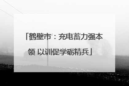 鹤壁市：充电蓄力强本领 以训促学砺精兵