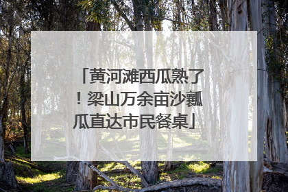 黄河滩西瓜熟了！梁山万余亩沙瓤瓜直达市民餐桌