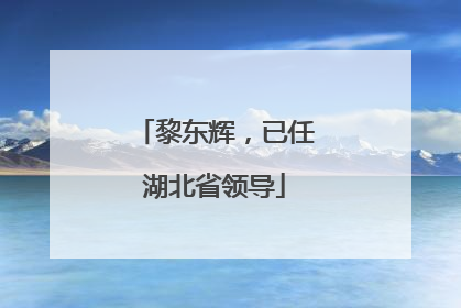 黎东辉，已任湖北省领导