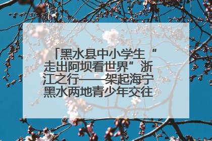 黑水县中小学生“走出阿坝看世界”浙江之行——架起海宁黑水两地青少年交往交流交融新桥梁