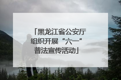 黑龙江省公安厅组织开展“六一”普法宣传活动