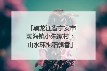 黑龙江省宁安市渤海镇小朱家村：山水环抱稻飘香