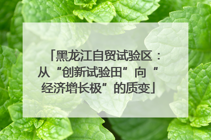 黑龙江自贸试验区：从“创新试验田”向“经济增长极”的质变