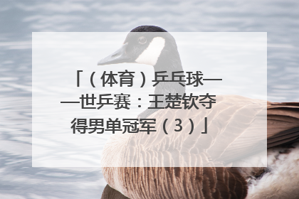 （体育）乒乓球——世乒赛：王楚钦夺得男单冠军（3）