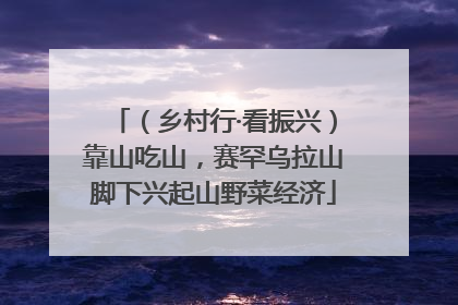 （乡村行·看振兴）靠山吃山，赛罕乌拉山脚下兴起山野菜经济