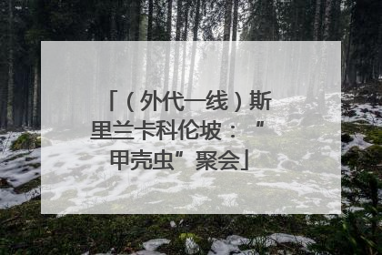 （外代一线）斯里兰卡科伦坡：“甲壳虫”聚会