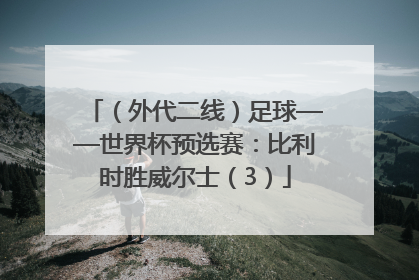 （外代二线）足球——世界杯预选赛：比利时胜威尔士（3）