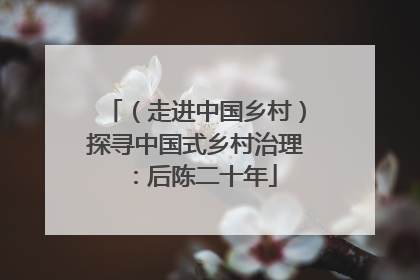 （走进中国乡村）探寻中国式乡村治理：后陈二十年