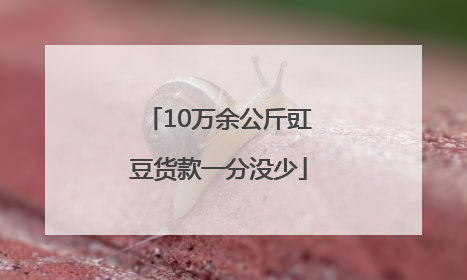 10万余公斤豇豆货款一分没少