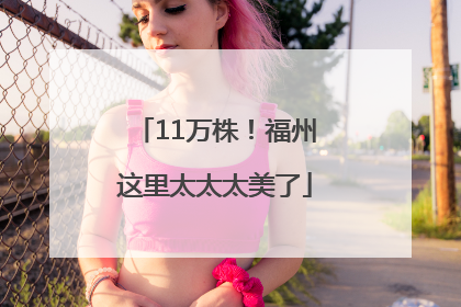 11万株！福州这里太太太美了