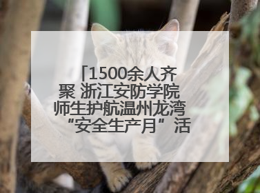 1500余人齐聚 浙江安防学院师生护航温州龙湾“安全生产月”活动火热开展