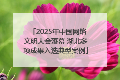 2025年中国网络文明大会落幕 湖北多项成果入选典型案例
