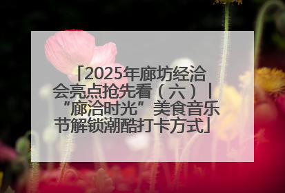 2025年廊坊经洽会亮点抢先看（六）丨“廊洽时光”美食音乐节解锁潮酷打卡方式
