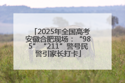 2025年全国高考安徽合肥现场：“985”“211”警号民警引家长打卡