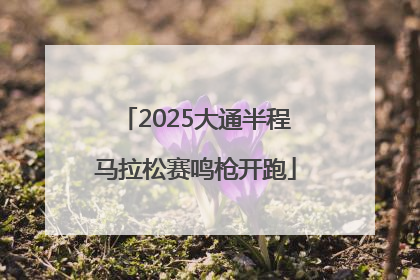 2025大通半程马拉松赛鸣枪开跑