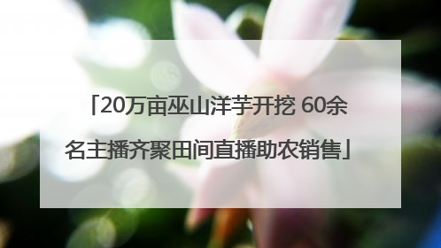20万亩巫山洋芋开挖 60余名主播齐聚田间直播助农销售