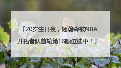 20岁生日夜，杨瀚森被NBA开拓者队首轮第16顺位选中！