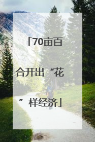 70亩百合开出“花”样经济