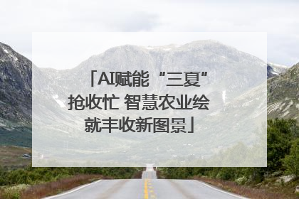 AI赋能“三夏”抢收忙 智慧农业绘就丰收新图景